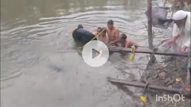 मुज़फ्फरनगर: ग्राम कुल्हेड़ी में चारा लेने जा रहे किसान की भैसा-बुग्गी अनियंत्रित होकर नदी में पलटी, भैसे की मौके पर मौत, किसान घायल
