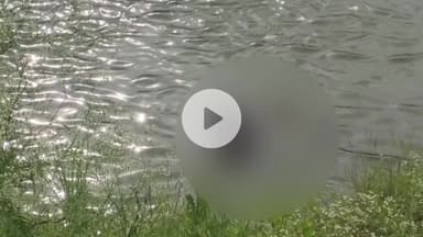 इंदौर: गैंगस्टर सलमान लाला की तालाब में डूबने से मौत, क्राइम ब्रांच से हुआ था सामना