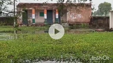 धौलपुर: सैंपऊ में बारिश और जलभराव से हालात बेहद खराब, विद्यालय में भरा पानी, फसल खराबा को लेकर किसान परेशान