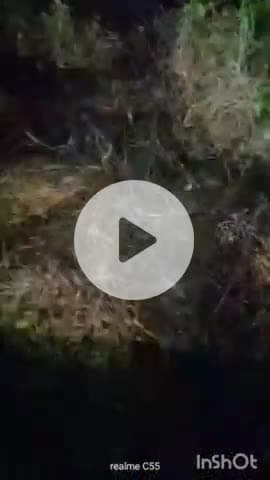 अरवल: सदर थाना क्षेत्र के ओझा बीघा वार्ड 23 निवासी राहुल कुमार का झाड़ी से नर कंकाल बरामद