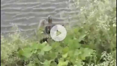 इंदौर: गैंगस्टर सलमान लाला मामले में बड़ा अपडेट, माँ बोली- क्राइम ब्रांच वालों ने मेरे बेटे को डुबाकर मार दिया