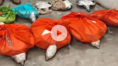 बख्तियारपुर: बख्तियारपुर में डाउन कुंभ एक्सप्रेस ट्रेन से 9 कछुए बरामद