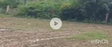 देसूरी: देसूरी में किसान संघ ने तेज बारिश से फसल खराबे की गिरदावरी को लेकर किसानों को शीघ्र मुआवजा राशि मिलने की की मांग