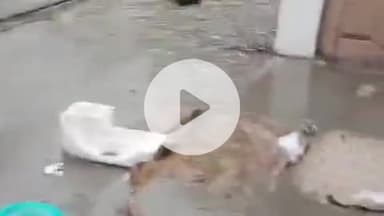 राजगढ़ी: स्यानाचट्टी में अस्थाई झील का जलस्तर फिर बढ़ा, लोगों में डर का माहौल