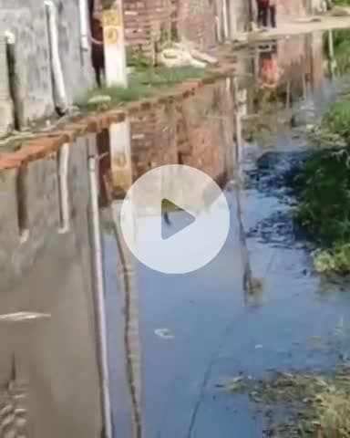 जगाधरी: लापरा गांव में जौहड के ओवरफ्लोर  हो रहे पानी से परेशान है गांव वासी नहीं निकल रहा समाधान#Jansamasya