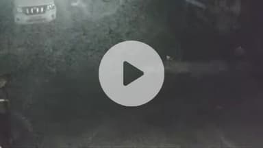 हरिद्वार: इब्राहिमपुर गांव में कुत्तों का शिकार करने घुसा गुलदार, सीसीटीवी फुटेज हुआ वायरल