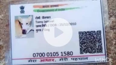 डबरा में कुत्ते का आधार कार्ड वायरल होने से लोगों में चर्चा, निकला फर्जी