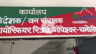 घाट: नंदानगर के तांगला गांव में जंगल में घास लेने गई महिला पर भालू ने किया हमला, गंभीर घायल महिला की हुई मौत