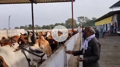 बासोदा: गंजबासौदा में शांतिनाथ महामंडल विधान का आयोजन