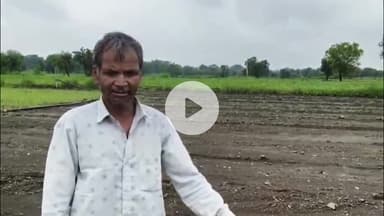 जावरा: मूसलाधार बारिश से मगरे का नाला उफान पर, टू लेन के ऊपर से निकला पानी, खेत की मिट्टी, प्याज रोप और फव्वारा बहे