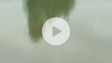 पलवल: यमुना में जलस्तर बढ़ने से 4000 एकड़ फसल डूबी, पलवल डीसी ने तटबंधों का निरीक्षण किया