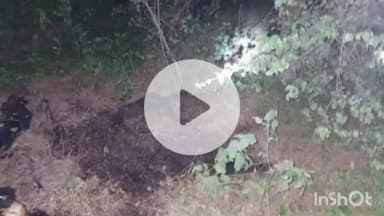 अरवल: दो साथियों के नर कंकाल मिलने से सनसनी, फोरेंसिक जांच के लिए भेजा गया पटना