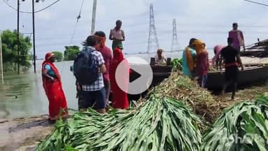 शाम्हो अकहा कुरहा: शाम्हो में हरे चारे की किल्लत, पड़ोसी प्रखंड से महंगे दामों में खरीदारी कर लाने की मजबूरी #jansamasya