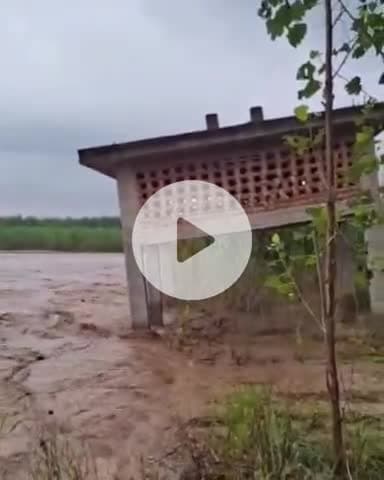 जगाधरी: यमुनानगर में भारी बरसात से रूकाली गांव का यमुना किनारे बना शमशान घाट भी पानी में डूबा