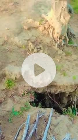 इंदिरा गांधी नहर टूटने का खतरा है गांव पड़ चुका है