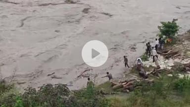 जगाधरी: हथिनीकुंड बैराज पर लकड़ियां पकड़ने वालों को पुलिस ने भगाया, वीडियो वायरल