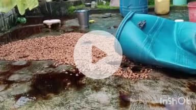 उंटारी रोड: उटारी रोड़ थाना क्षेत्र के कई गांवों में अवैध महुआ शराब का कारोबार फल-फूल रहा है, पुलिस कर रही कार्रवाई