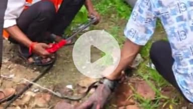 प्रतापगढ़: विद्युत उपकेंद्र पांडेयतारा के ट्रांसफार्मर में तेल रिसाव से लगी आग, केबल बॉक्स जलकर राख, 20 घंटे से आपूर्ति बाधित