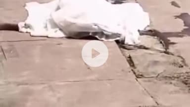 गया टाउन सीडी ब्लॉक: गयाजी: फल्गु नदी के रबर डैम से मिला युवती का शव, पहचान नहीं हो पाई है