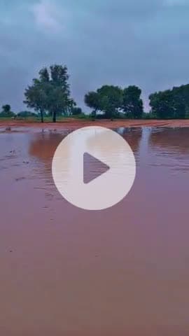 तिंवरी- तेज बारिश से हुआ काफी नुकसान...