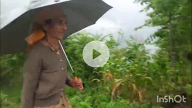 मंडी: दो महीने से नहीं मिला दूध का भुगतानः कोटली के दुग्ध उत्पादकों में मिल्क फेडरेशन के खिलाफ रोष#janmsamasya