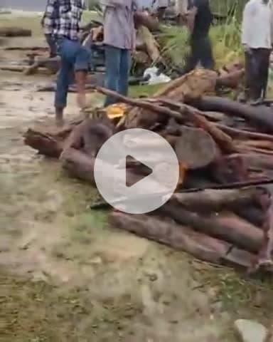 जगाधरी: यमुनानगर प्रशासन के हाई अलर्ट के बाद भी लोग यमुना में बहती लकड़ियां पकड़ते दिखे