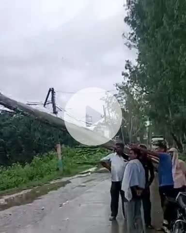 जगाधरी: त्रिवेणी चौक के पास सड़क किनारे खड़ा पेड़ 11,000 और 66,000 केवी की बिजली तारों पर गिरा, रास्ता बंद