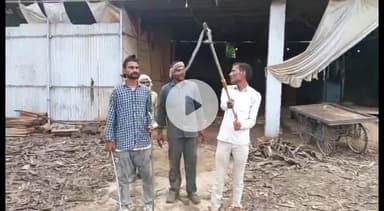 सागर नगर: राहतगढ़ बस स्टैंड के पास लकड़ी के ताल में निकला कोबरा, मजदूरों में मचा हड़कंप