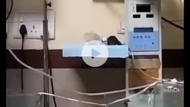 इंदौर: एम वाय अस्पताल में चूहों का आतंक, दो नवजात शिशुओं को कुतरा, वीडियो वायरल