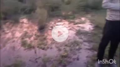 भीलवाड़ा: आम रास्ते पर काला पानी छोड़कर प्रदूषण फैला रहा समर्पण प्रोसेज, रा.मा.प. सुरक्षा संगठन ने जताया विरोध