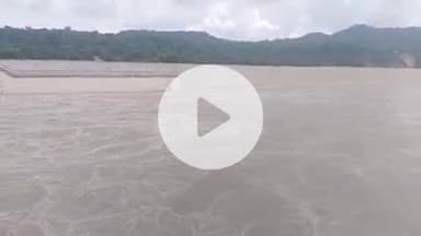 हरिद्वार: लगातार हो रही बारिश के चलते गंगा का जलस्तर बढ़ा, भीमगोडा बैराज पर गंगा नदी चेतावनी स्तर से ऊपर बह रही है