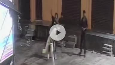 मथुरा: वृंदावन में दबंगों ने गेस्ट हाउस पर जमकर किया पथराव, वीडियो हुआ वायरल