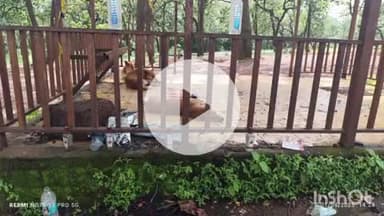 पुष्पराजगढ़: अमरकंटक का सनराइज पॉइंट बना शराबियों का अड्डा, पर्यटक और स्थानीय लोग परेशान