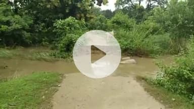 बीसलपुर: जगतपुर गांव के हिस्सों को जोड़ने वाली पुलिया बारिश में क्षतिग्रस्त, आवागमन हुआ बंद