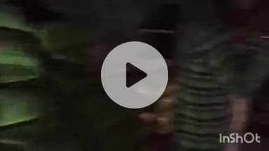 ब्यौहारी: खाद की कालाबाजारी पर प्रशासन की कार्रवाई, पपौंध में खाद ज़ब्त