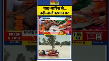 बाढ़-बारिश से...नदी-नाले ऊफान पर #mp #mandsaur #donkey