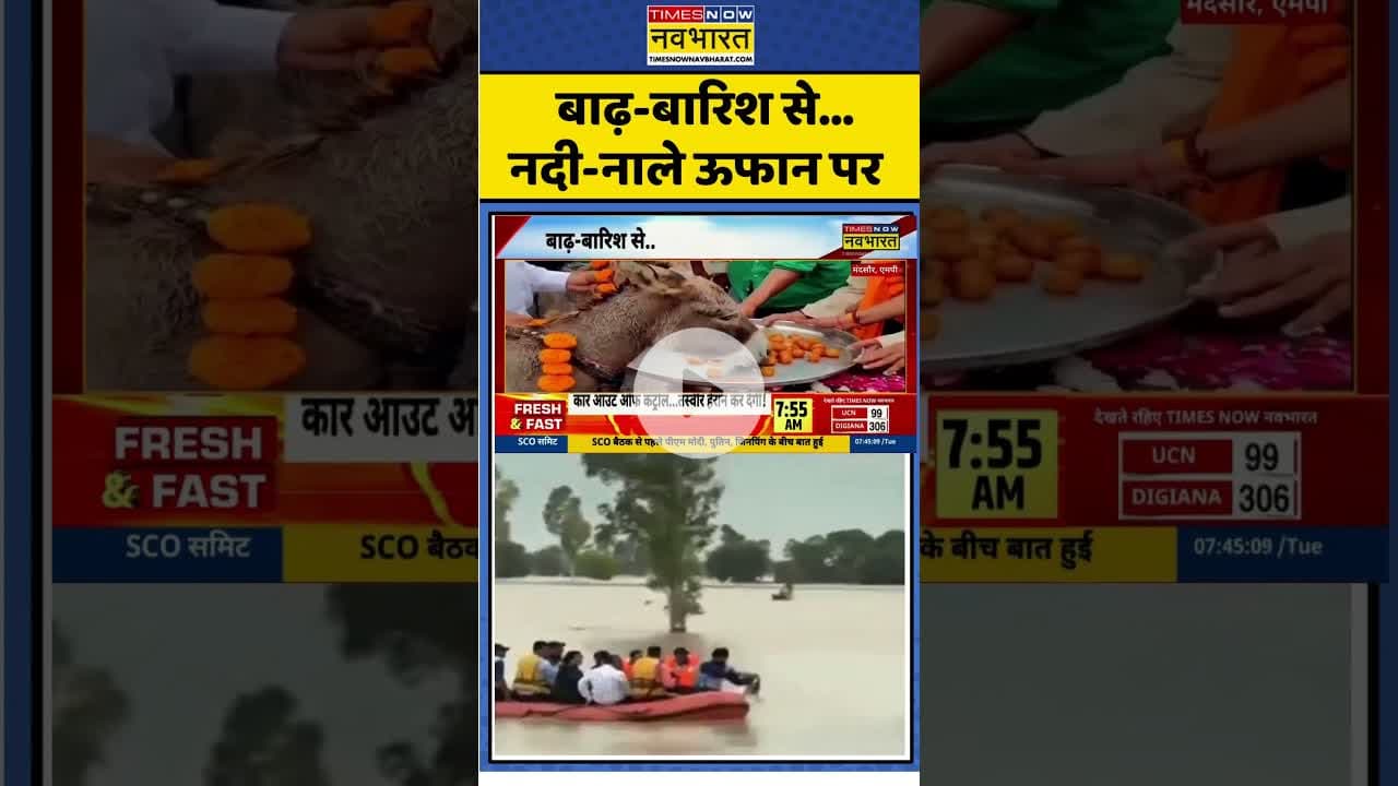 बाढ़-बारिश से...नदी-नाले ऊफान पर #mp #mandsaur #donkey