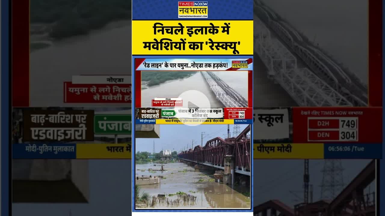 निचले इलाके में मवेशियों का 'रेस्क्यू' #hathinikundbarrage #delhiyamuna #overflowing