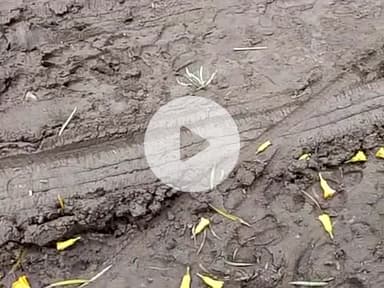 ग्राम गौरा जिला कटनी तहसील ढीमरखेड़ा