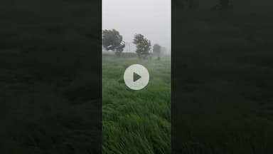 भदोही में भयंकर तूफान और बारिश अभी-अभी viral video
