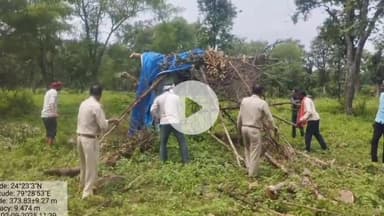 बटियागढ़: रजपुरा के जंगल में वनभूमि से हटाया गया अवैध अतिक्रमण, दूसरे दिन भी जारी रही कार्रवाई
