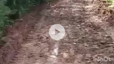 राजसमंद: राजसमंद के बडी मोरवड़ गांव में जल झूलनी यात्रा में आ रही परेशानी को किया गया दूर, ग्रामीणों ने राहत की सांस ली