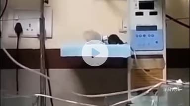 इंदौर: एम वाय अस्पताल में नवजात शिशुओं को चूहे के उतरने का मामला, एक और बच्ची की मौत