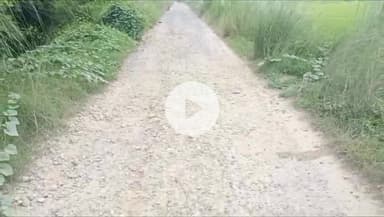 उतरौला: उतरौला तहसील अंतर्गत श्रीदत्तगंज में परिषदीय विद्यालय की ओर जाने वाली सड़क जर्जर