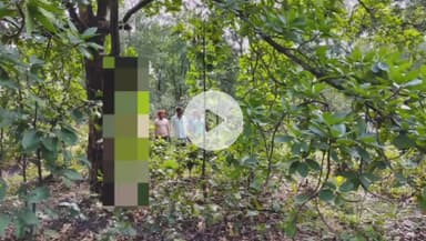 सरई: सर्राटोला में किशोर का शव पेड़ पर लटका मिला, बरका चौकी पुलिस ने शव कब्जे में लेकर जांच शुरू की