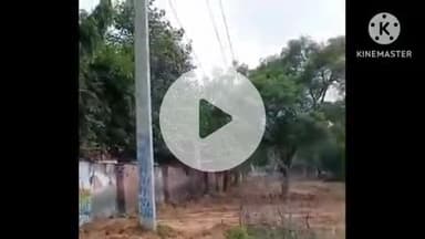 तोशाम: तोशाम में एसडीएम रवि मीणा के निर्देश पर चलाया गया स्वच्छता अभियान