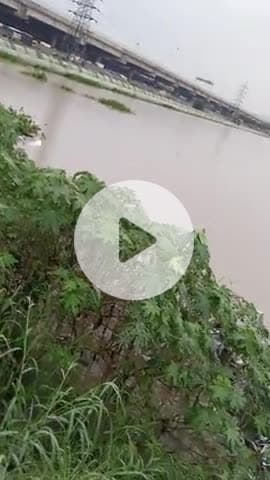 Delhi mein Bahar a gaya hai