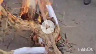 मुंगेर: भाजपा ओबीसी मोर्चा ने मोदी की मां को गाली देने के विरोध में निकाला आक्रोश मार्च, किया पुतला दहन