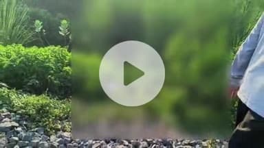 प्रतापगढ़: मल्हूपुर गांव में रेलवे लाइन के पास मिली लावारिस लाश, पुलिस ने शव भेजा पोस्टमार्टम के लिए