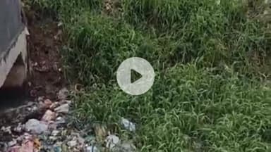 पलवल: पलवल जिले के भंगूरी रजवाहे में पानी न होने से किसान परेशान, ग्रामीणों ने उठाई आवाज